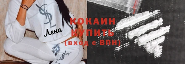 прущие грибы Баксан