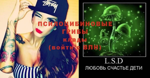 прущие грибы Баксан