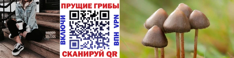 Псилоцибиновые грибы MAGIC MUSHROOMS  что такое наркотик  Строитель 