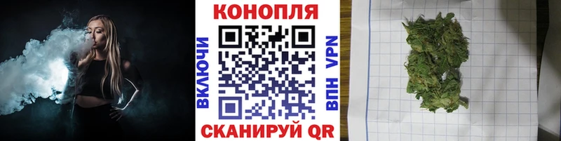 Бошки Шишки семена Строитель